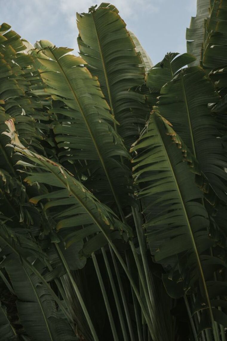 janaeegf nude janaeegf nude
